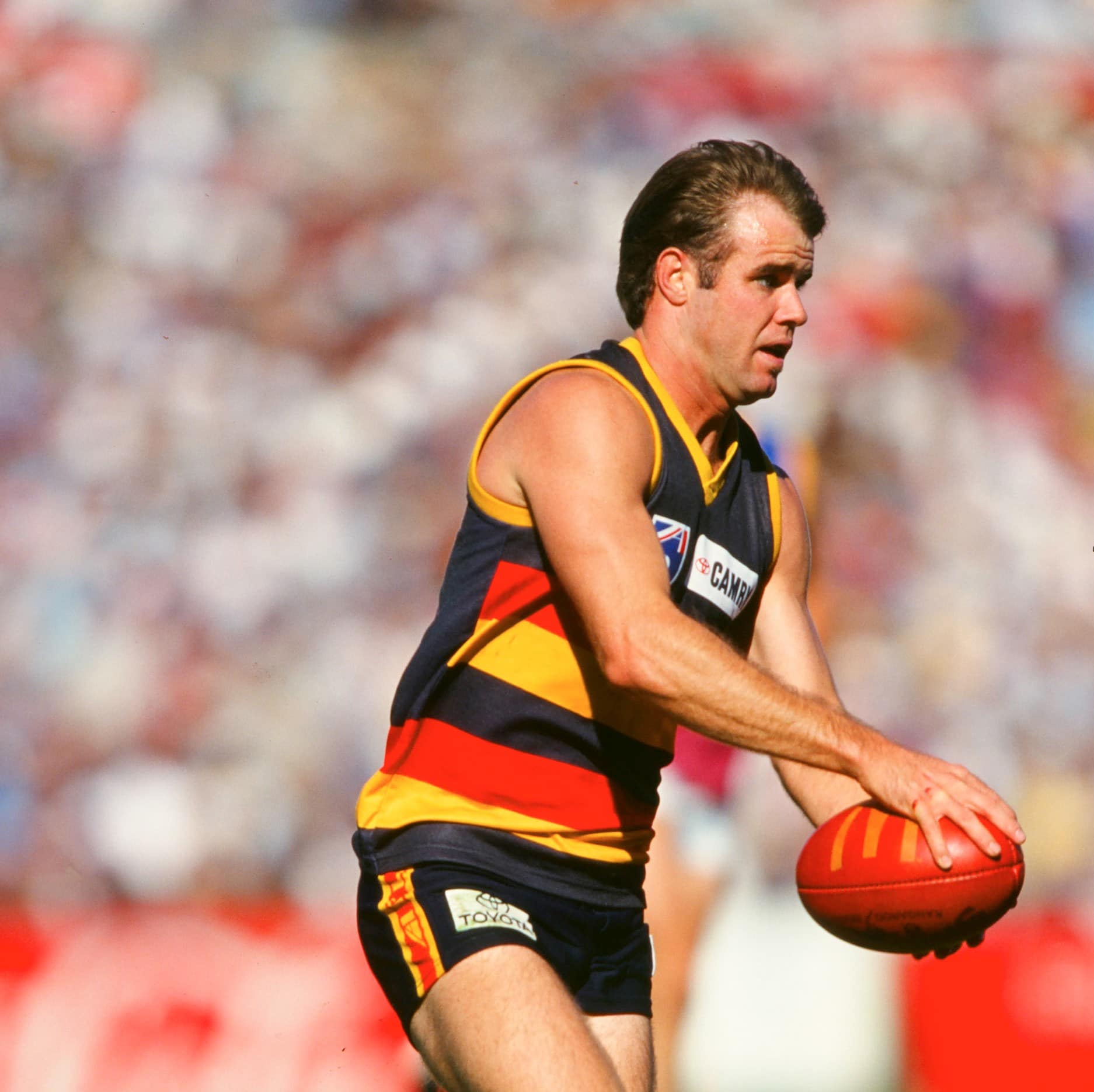 Matthew Connell Adelaide Football Club