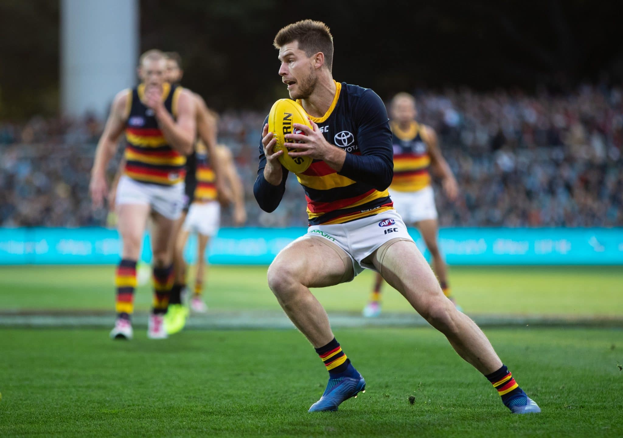 Bryce Gibbs Adelaide Football Club