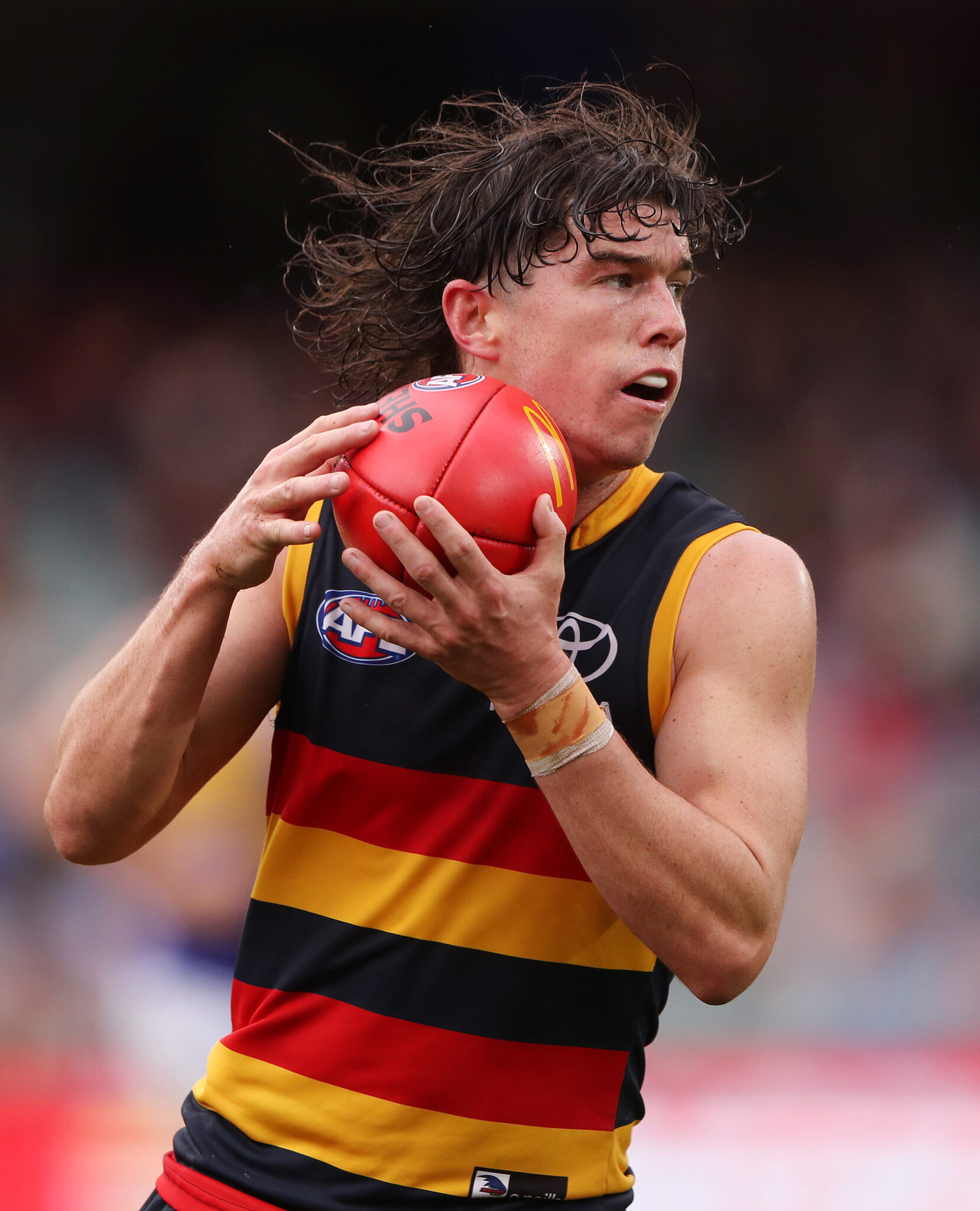 Ned McHenry | Adelaide Football Club