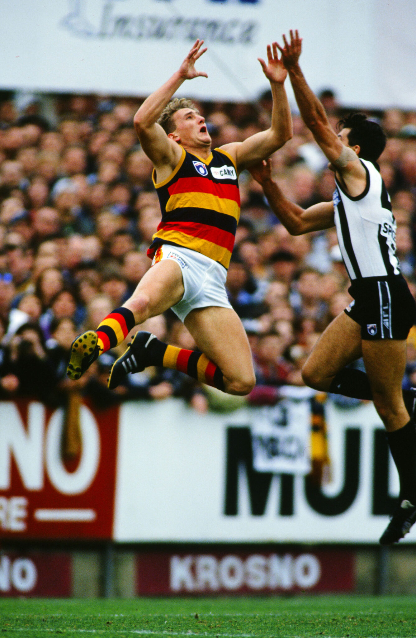 1994 | Adelaide Football Club